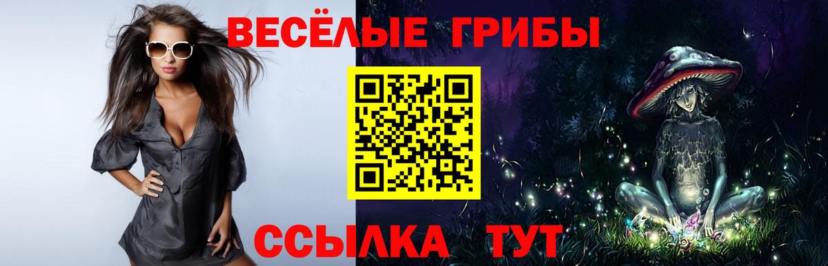 наркошоп  Вход с VPN  Шали  Псилоцибиновые грибы Cubensis 